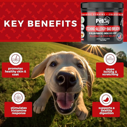Pet Chef Allergy Defender - Natural Dog Allergy Relief Chews - Effective Medicine for Dog Allergies, Environment and Household Irritant Prevention - Safe & Strong Allergy Supplements for Dogs