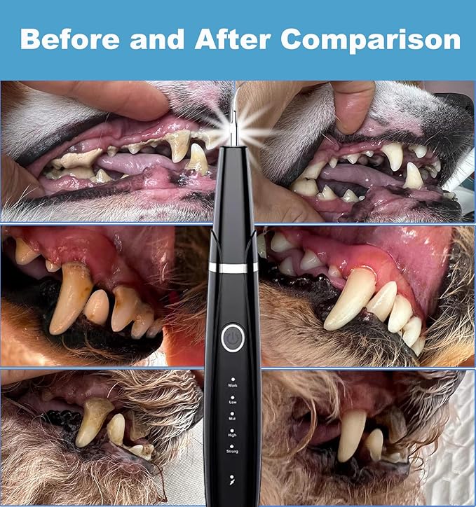 Dog Plaque and Tartar Remover - Dog Teeth Cleaning Kit, Dog Dental Tools to Remove Plaque and Tartar, Ultrasonic Dog Tooth Tartar Remover Tool with Intelligent Detection and LED Light, Black