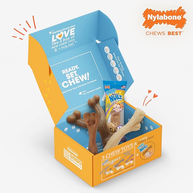 Nylabone Dog Toy Gift Box, includes 3 Strong Chew Toys and 1 Dog Treat, Chew Toys for Puppies, Small/Regular (4 Count)