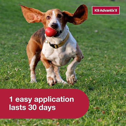 K9 Advantix II Medium Dog Vet-Recommended Flea, Tick & Mosquito Treatment & Prevention | Dogs 11-20 lbs. | 1-Mo Supply