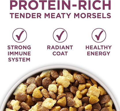 Purina ONE Plus Healthy Puppy Formula High Protein Natural Dry Puppy Food with Added Vitamins, Minerals and Nutrients - 16.5 lb. Bag
