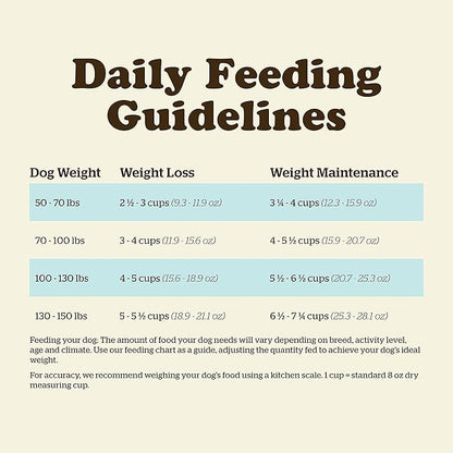 Now Fresh Grain Free Dog Food, 12 lb - Large Breed Adult Dog Food Recipe - Healthy Diet with Probiotics & Real Meat and Fish for Protein