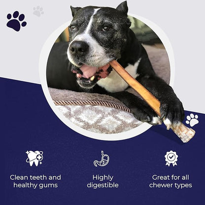 Devil Dog Pet Co. Jumbo Bully Sticks – 12 Inch 6 Pack Chew Treats, 100% All Natural, Free-Range Grass-Fed Beef – Long Lasting & Rawhide Free Bully Stick Dog Chews – Bully Sticks for Dogs