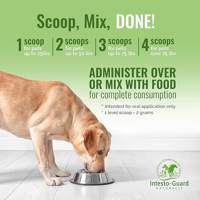 Powder Prebiotic Probiotics for Dogs & Cats Bowel Digestive Immune Support Supports Gut Flora Nutrition Immunity 180G Bottle - 90 Scoops (Powder)
