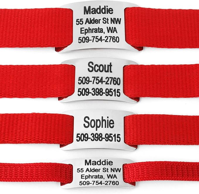 GoTags Slide-On Pet ID Tags, Personalized Dog and Cat Collar Tags, Silent, No Noise Tags Made of Stainless Steel, Custom Engraved