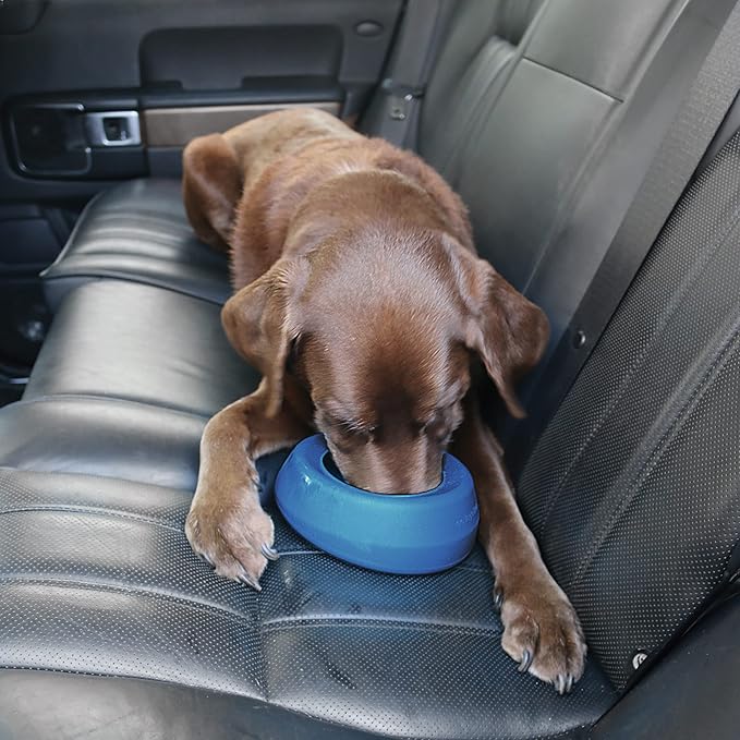 Kurgo Splash Free Wander Water Bowl, No Spill Dog Travel Bowl, Portable No Mess Bowl for Dogs, Splash Less Car Bowl for Pets, Car Accessories, 24 ounces (Coastal Blue)