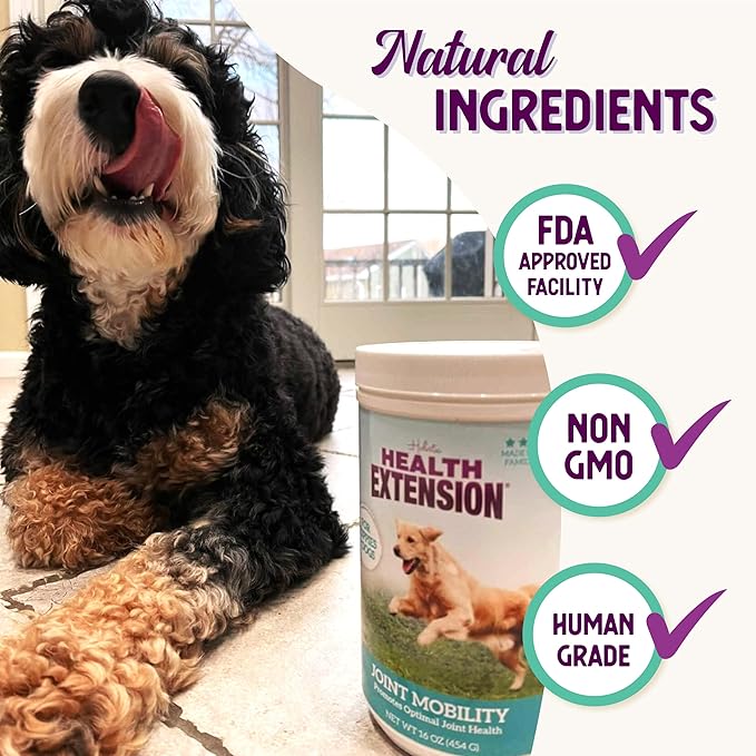 Health Extension Chondroitin with Glucosamine for Dog, Arthritis Pain Relief Vitamin, Joint & Hip Supplement Cheese Flavored Powder, Suitable for All Types of Puppies & Dogs, (16 Oz / 454 g)