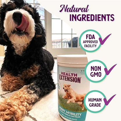 Health Extension Chondroitin with Glucosamine for Dog, Arthritis Pain Relief Vitamin, Joint & Hip Supplement Cheese Flavored Powder, Suitable for All Types of Puppies & Dogs, (16 Oz / 454 g)