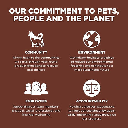 GO! SOLUTIONS Skin + Coat Care Dry Dog Food for Large Breed Puppy - Salmon Recipe with Grains - Complete & Balanced Nutrition, 12 lbs
