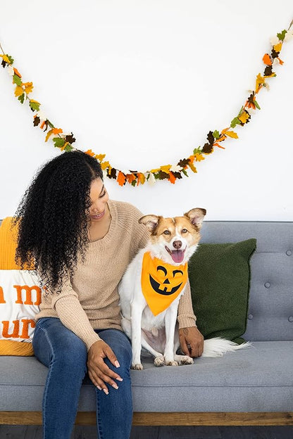 Pearhead Pumpkin Dog Bandana, Holiday Fall Dog Apparel, Halloween Dog Costume, Dog Slip On Collar Accessories, Medium/Large, M/L