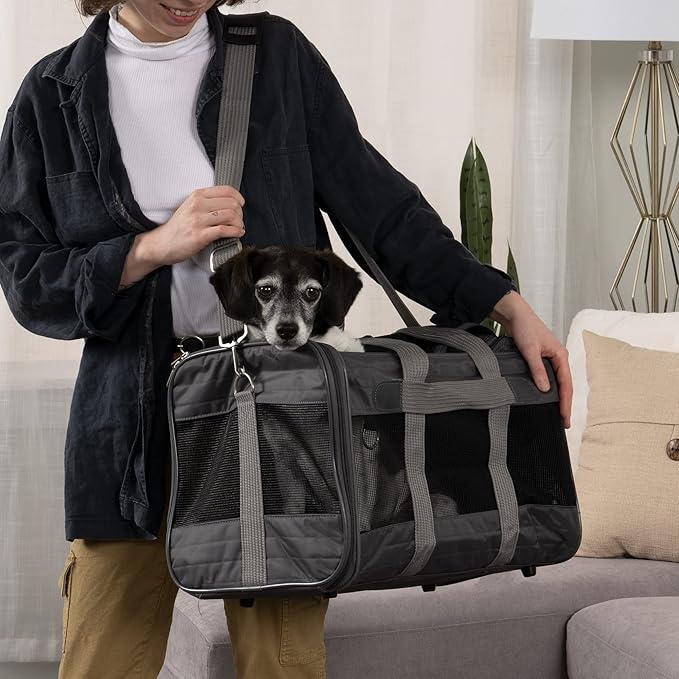 Sherpa Original Deluxe Travel Pet Carrier, Airline Approved - Charcoal Gray, Large & Delta Airlines Travel Pet Carrier, Airline Approved & Guaranteed On Board - Black, Medium