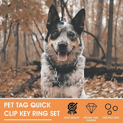 Dog Tag Clips with Keychains, Durable Dog ID Tag with Tag Rings Stainless Steel Pet Tag Clip for Large Dogs Collar Harnesses 1.3 x 0.6 in 6 Clips 18 Rings