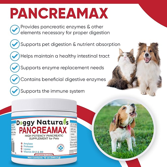 PancreaMax 10x Pancreatic Digestive Enzymes Supplement for Cats and Dogs(12 oz) Powder (Made in U.S.A).10x Pancreatin for Dogs Contain Pancreatic Enzyme | Pancreatin for Dogs (10x Porcine Pancreatin)