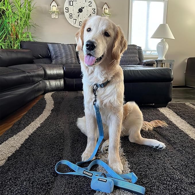 Voyager Reflective Dog Leash Collar Set with Neoprene Handle Supports Small, Medium, and Large Breed Puppies, Cute and Heavy Duty for Walking, Running, and Training - Baby Blue, M