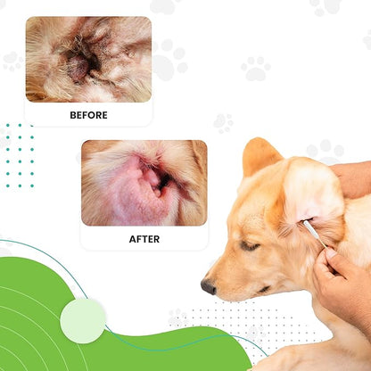 We Love Doodles Long Cotton Dog Ear Swabs | Double Sided Qtips for Dogs | Large Wooden Cleaner Balls Tool | Q Tips Swab to Flush Puppy Ears | Clean Wood Buds for Pet Ears | Wipes Solution Q-Tips