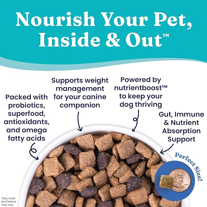 Solid Gold Nutrientboost Fit and Fabulous Dog Food - Dry Dog Food for Weight Control - Digestive Probiotics for Dogs - Grain & Gluten Free - High Fiber & Low Fat - Superfoods & Antioxidants - 22 LB