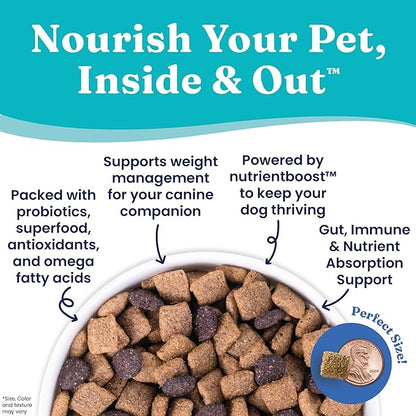 Solid Gold Nutrientboost Fit and Fabulous Dog Food - Dry Dog Food for Weight Control - Digestive Probiotics for Dogs - Grain & Gluten Free - High Fiber & Low Fat - Superfoods & Antioxidants - 22 LB