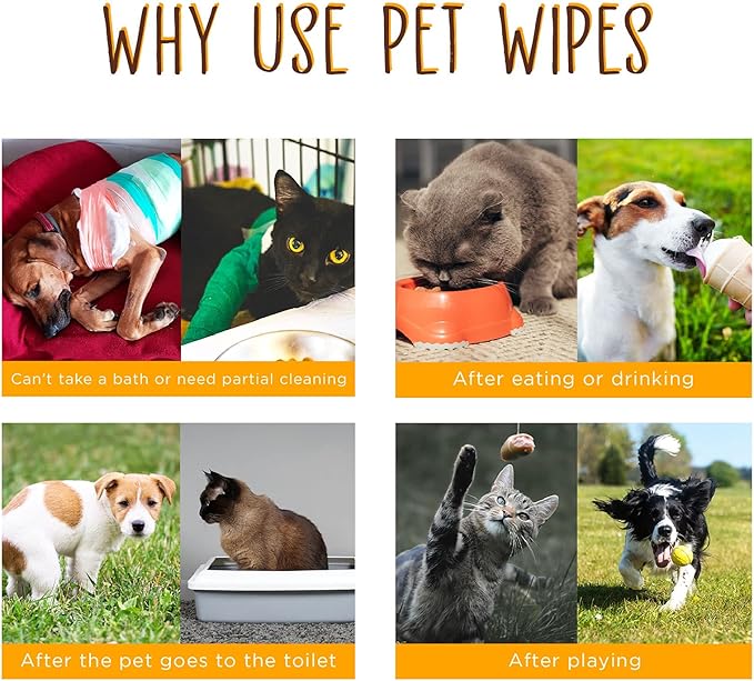 Dhohoo Dog Wipes, Dog Cat Grooming Wipes for Daily Use, Soft and Gentle Pet Wipes for Paws, Ear, Body and Butt, Portable 240 Wipes for Home and Travel Use