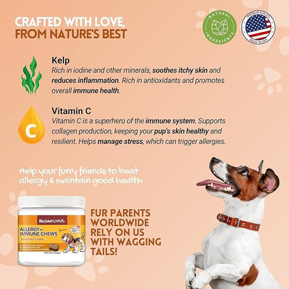 Herbion Pets Allergy + Immune Chews with Kelp & Vitamin C, 120 Soft Chews - Supports Immunity, Skin and Coat Health - Relieves Itchy Skin - Made in USA - Natural Vegetable Flavor - for Dogs 12 Weeks+