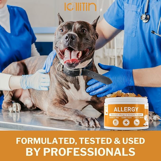 Allergy Relief for Dogs - 120 Chews - Seasonal Allergy, Immune Support, Skin and Coat Health - All Natural, Made in USA