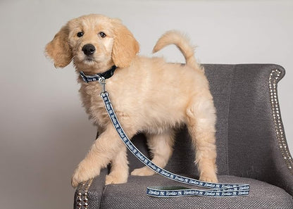 MLB PET Leash, Small, New York Yankees Dog Leash, Baseball Team Leash for Dogs & Cats. A Shiny & Colorful Dog & Cat Leash with Emboridered Team Name/Logo Licensed by the MLB