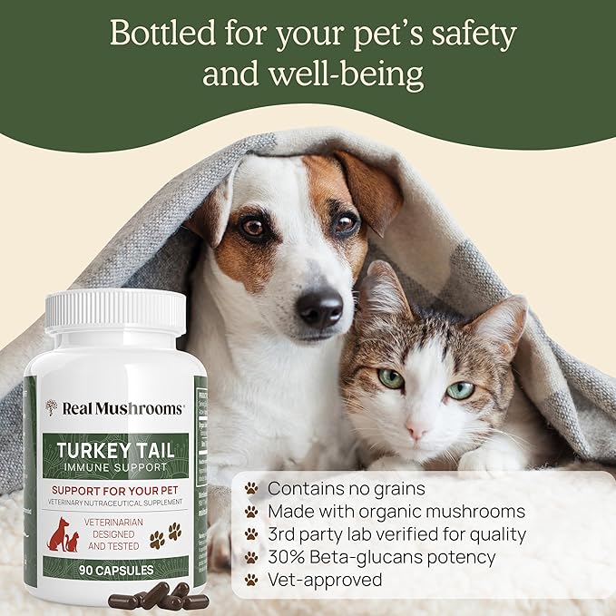 Turkey Tail Pet Support - Dog Multivitamins and Supplements for Immune Support, Gut Health & Wellness - Grain-Free, Gluten-Free, Vet-Approved Dog Supplement (90ct)