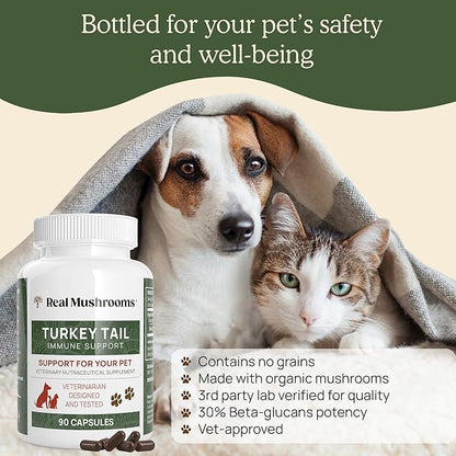 Turkey Tail Pet Support - Dog Multivitamins and Supplements for Immune Support, Gut Health & Wellness - Grain-Free, Gluten-Free, Vet-Approved Dog Supplement (90ct)