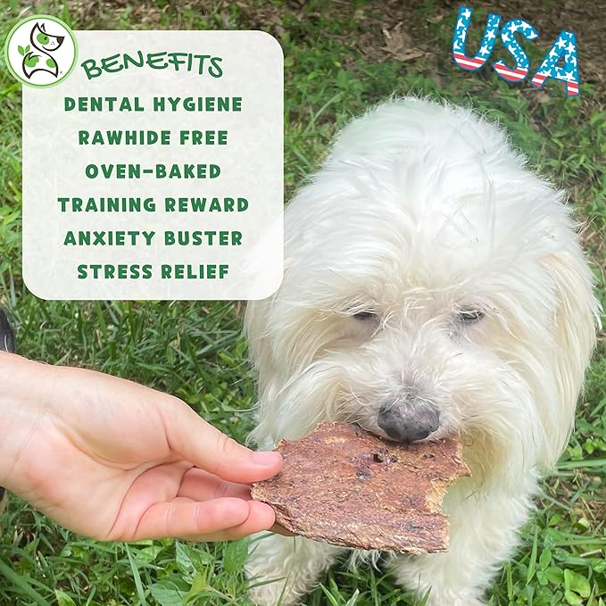 Nature Gnaws USA Crunch Chips for Dogs - Single Ingredient Natural Dog Chew Jerky Treats – Made in USA (6 oz)