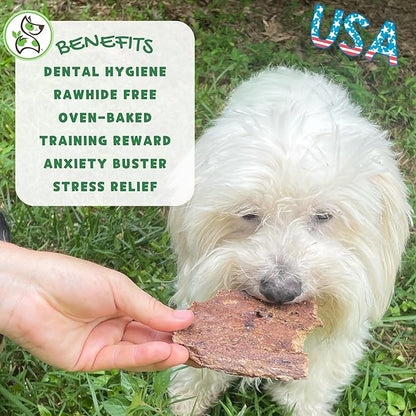 Nature Gnaws USA Crunch Chips for Dogs - Single Ingredient Natural Dog Chew Jerky Treats – Made in USA (6 oz)