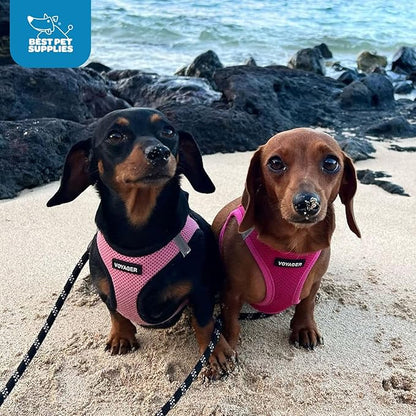 Voyager Step-in Air Dog Harness - All Weather Mesh Step in Vest Harness for Small and Medium Dogs by Best Pet Supplies - Harness (Fuchsia), X-Small