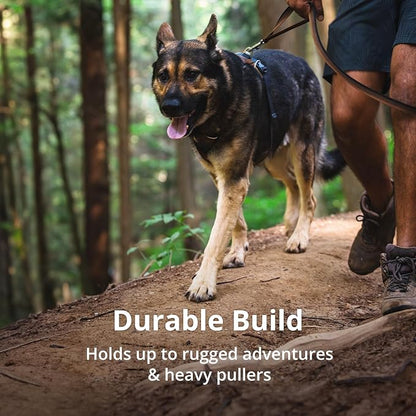 Ruffwear, Front Range Dog Harness, Reflective and Padded, No Pull Harness for Training and Everyday, Basalt Gray, X-Small