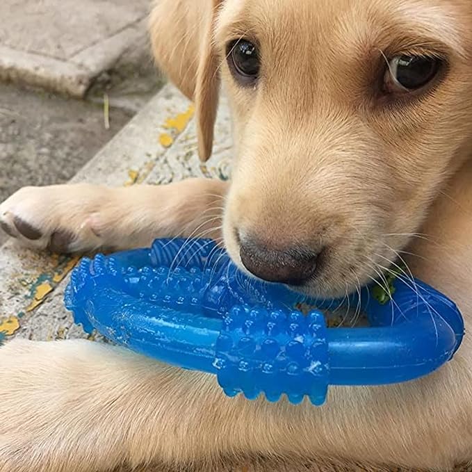 Nylabone Spin Tug & Play Puppy Chew Toy for Teething - Puppy Supplies - Peanut Butter Flavor, Medium/Wolf (1 Count)