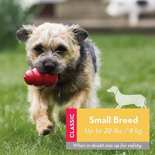 KONG Classic Stuffable Dog Toy - Fetch & Chew Toy for Dogs - Treat-Filling Capabilities & Erratic Bounce for Extended Play Time - Durable Natural Rubber Material - for Small Dogs