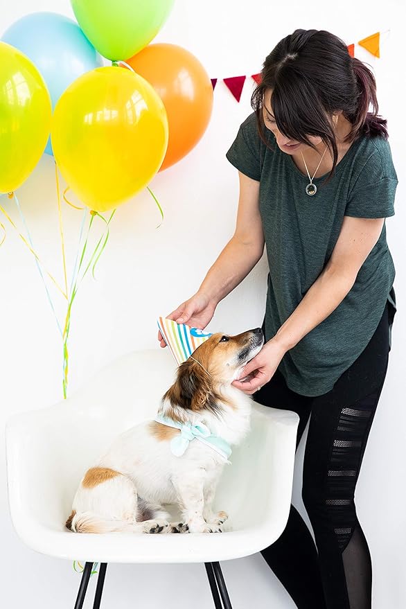 Pearhead Pet Birthday Pawty Kit, Pet Birthday Party, Includes Dog Toy, Party Hat, and Bandana, Multi One Size