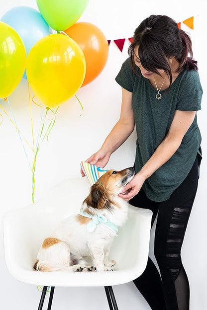 Pearhead Pet Birthday Pawty Kit, Pet Birthday Party, Includes Dog Toy, Party Hat, and Bandana, Multi One Size