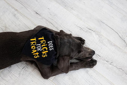 Pearhead Trick or Treat Bandana, Fall Holiday Dog Apparel, Halloween Dog Costume, Dog Slip On Collar Accessories, Small/Medium, S/M