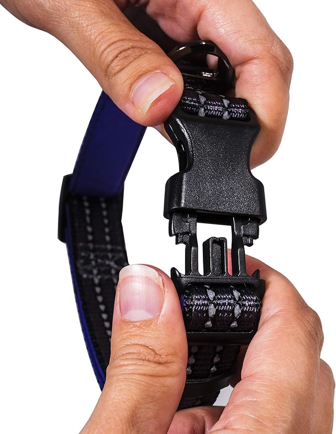 Nylon Dog Collar – Reflective – Franklin Pet Supply Co™ – Comfort Fit – Neoprene – Adjustable – Large – Purple