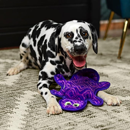 Outward Hound Durablez Tough Plush Squeaky Dog Toy, Gecko, Purple, Medium