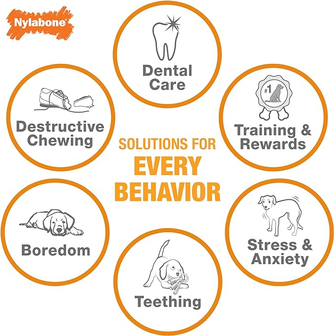 Nylabone Strong Chew Cone Stuffable Chew Toy for Dogs, Bacon Flavored Fillable Treat Toy, Small/Regular - Up to 25 Ibs. (1 Count)