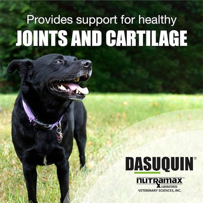 Dasuquin Soft Chews for Large Dogs 150ct