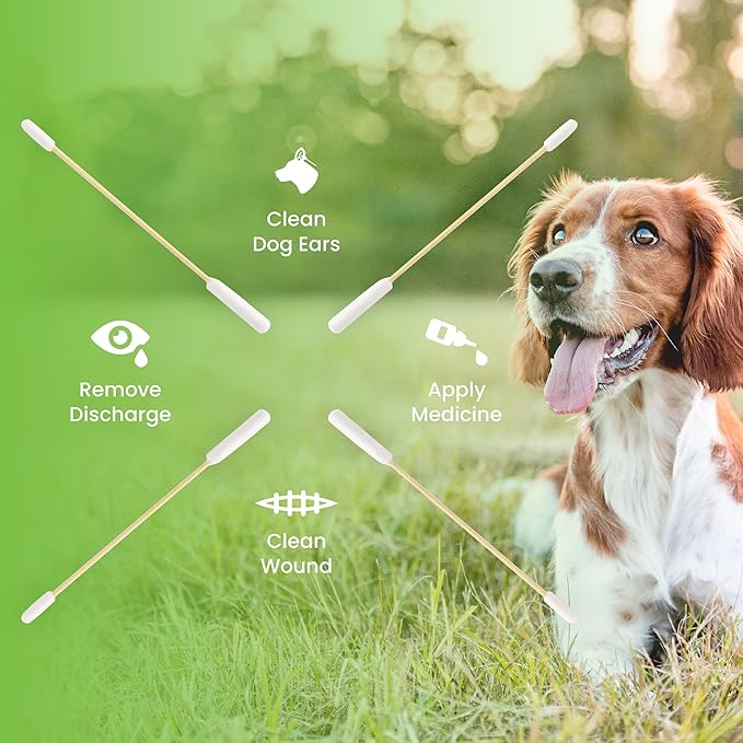 We Love Doodles Long Cotton Dog Ear Swabs | Double Sided Qtips for Dogs | Large Wooden Cleaner Balls Tool | Q Tips Swab to Flush Puppy Ears | Clean Wood Buds for Pet Ears | Wipes Solution Q-Tips