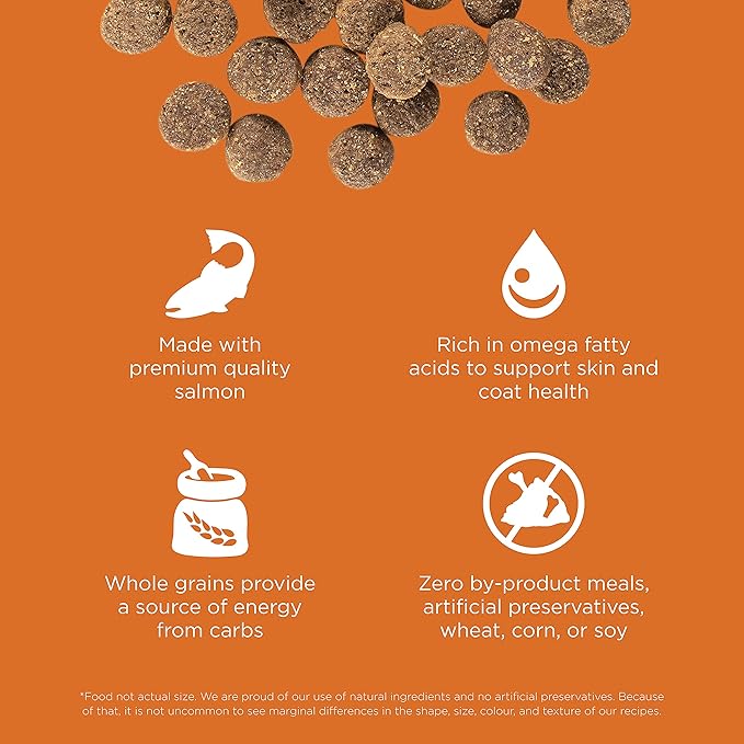 GO! SOLUTIONS Skin + Coat Care - Dry Dog Food, 12 lb - Salmon Recipe with Grains for All Life Stages - Complete + Balanced Nutrition for Dogs