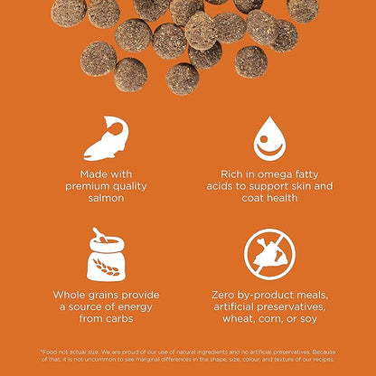 GO! SOLUTIONS Skin + Coat Care - Dry Dog Food, 12 lb - Salmon Recipe with Grains for All Life Stages - Complete + Balanced Nutrition for Dogs