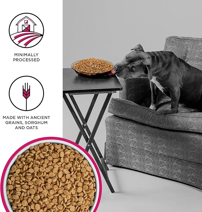 BIXBI Liberty Grain Friendly Dry Dog Food, Rancher's Red Recipe, 4 lbs - Fresh Meat, No Meat Meal, No Fillers - No Soy, Corn, Rice or Wheat for Easy Digestion - USA Made