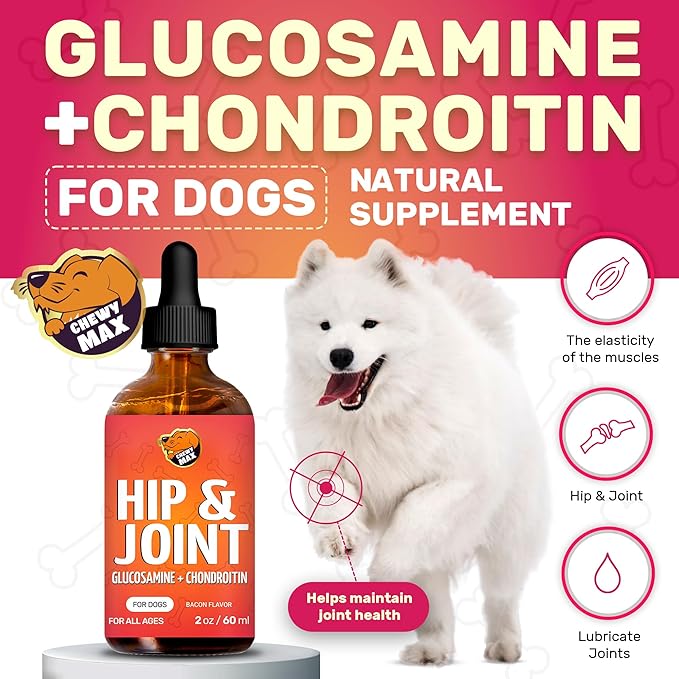 Liquid Dog Joint and Hip Supplement | Glucosamine for Dogs | Hip and Joint for Dogs | Dog Hip and Joint Supplement | Dog Joint Supplement | 2 Oz