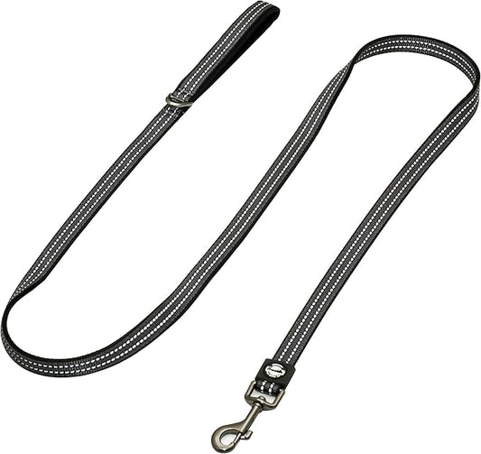 Franklin Pet Supply Nylon Dog Leash – Reflective – Comfort Fit – Neoprene Handle – 6 Foot – Dog Training – Walking – Black