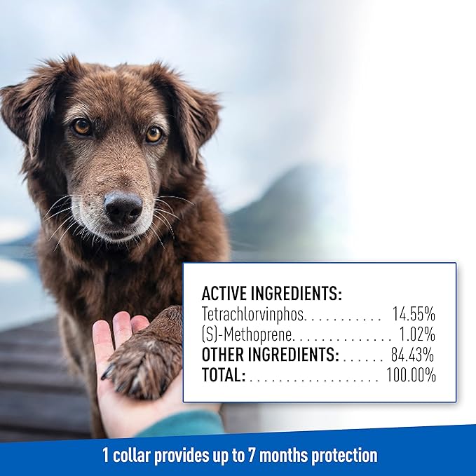 Adams Flea & Tick Control Collar for Dogs, 7-Month Protection, Adjustable One Size Collar Fits All, Kills and Repels Fleas, Ticks, Flea Eggs & Flea Larvae