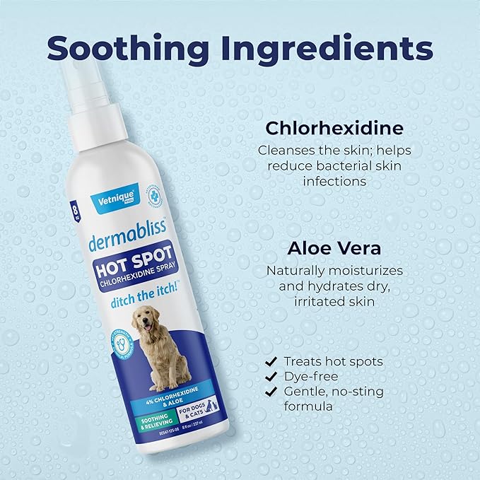 Vetnique Dermabliss Hot Spot Treatment for Dogs - Antiseptic Medicated Chlorhexidine Spray - Vet Recommended for Skin Infections, Hot Spots & Irritation (Hot Spot Spray, 8oz)