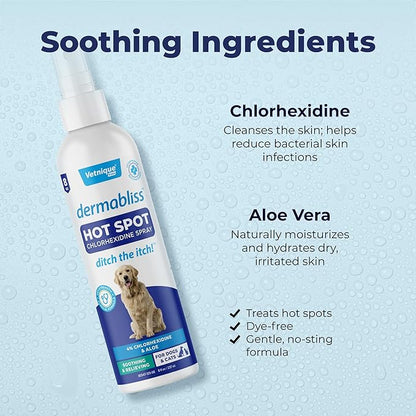 Vetnique Dermabliss Hot Spot Treatment for Dogs - Antiseptic Medicated Chlorhexidine Spray - Vet Recommended for Skin Infections, Hot Spots & Irritation (Hot Spot Spray, 8oz)