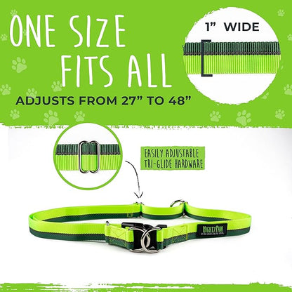 Mighty Paw Hands Free Dog Leash | Bungee Waist Leash for Dog Walking. Dog Running Leash Hands Free. Hands Free Leash for Large Dogs, Medium & Small Dogs. Dog Leash Waist Belt (36" - 48") Up To 150 lbs